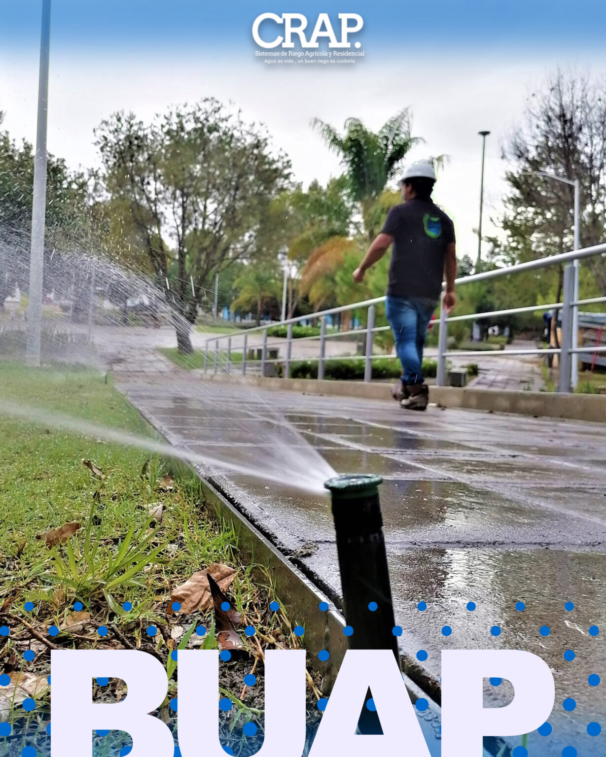 Buap 2