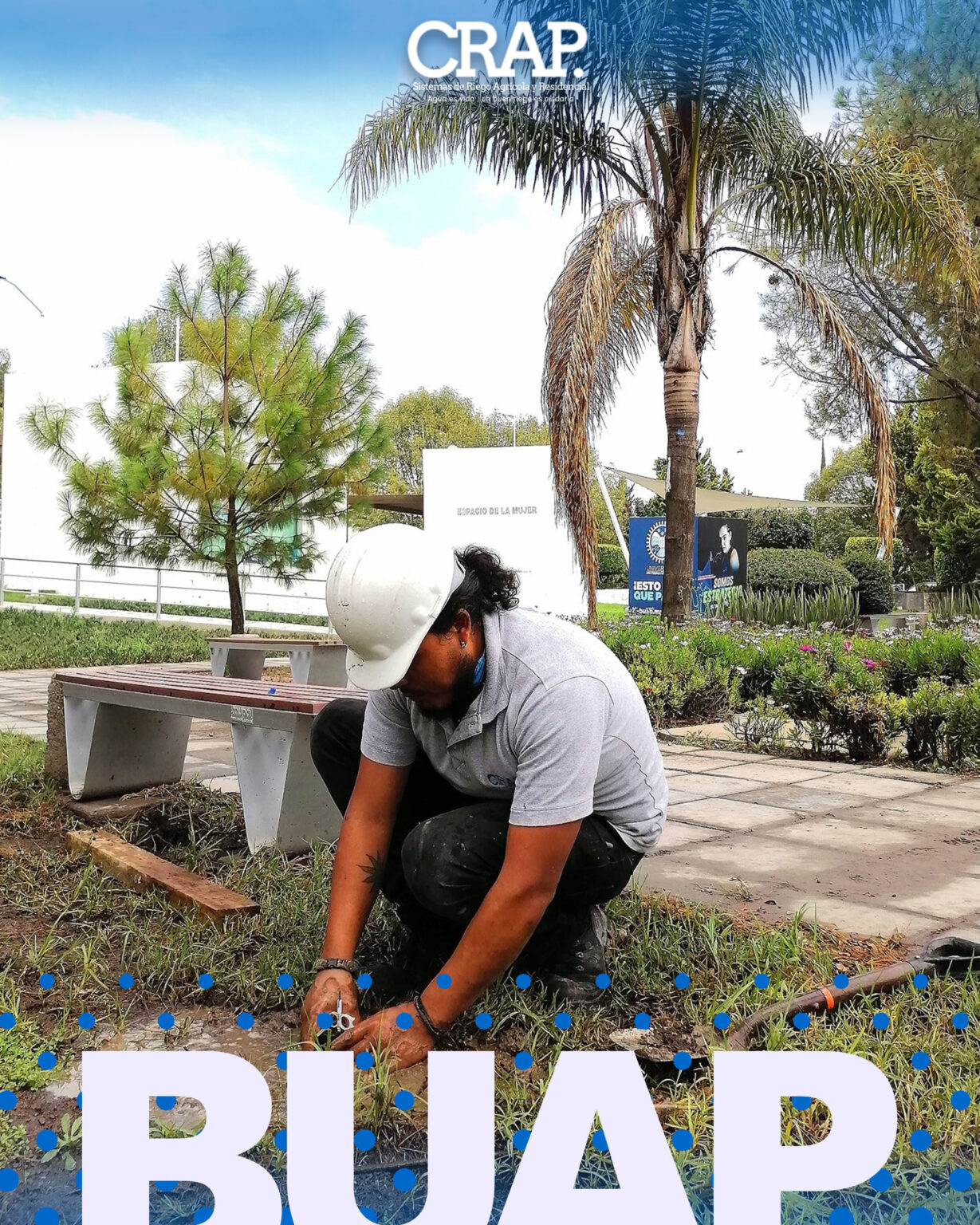 Buap 3