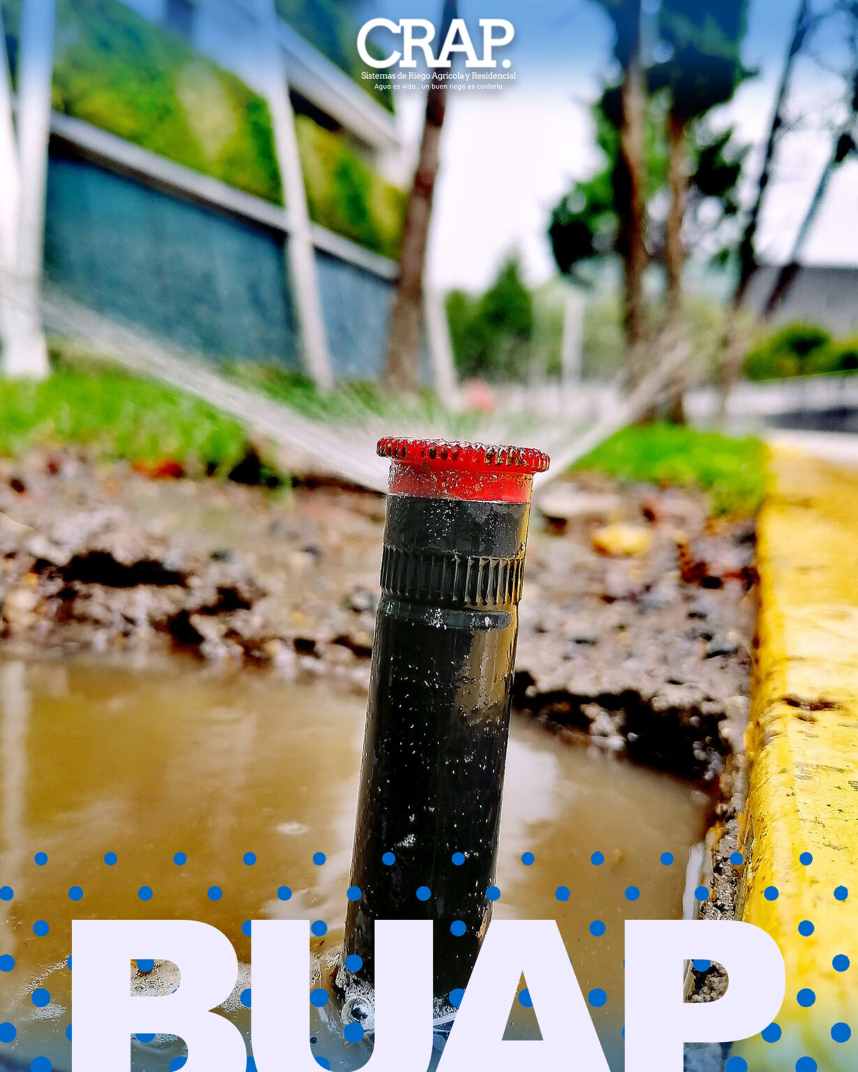 Buap 4