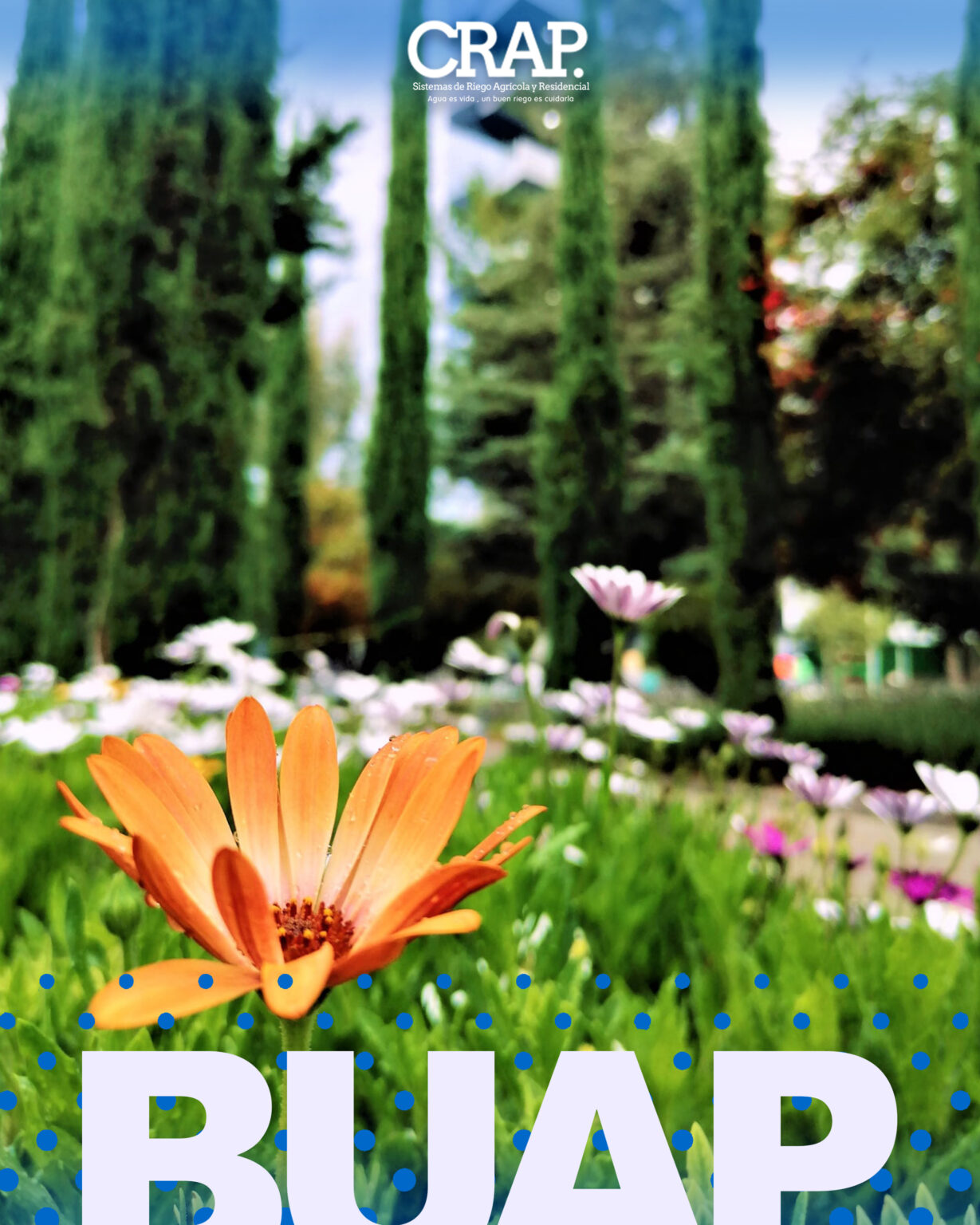 Buap 5