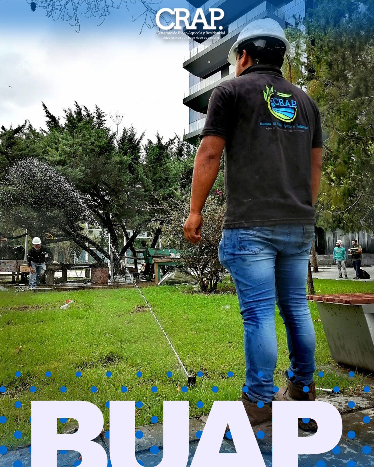 Buap 6